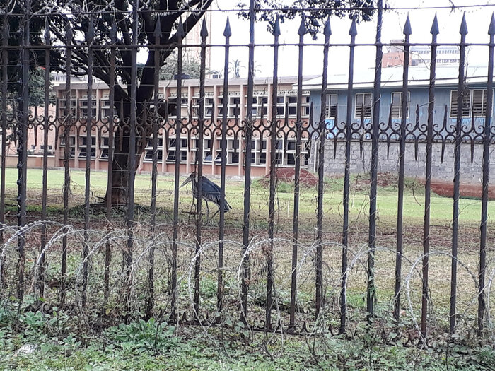 ����� ������������ ������