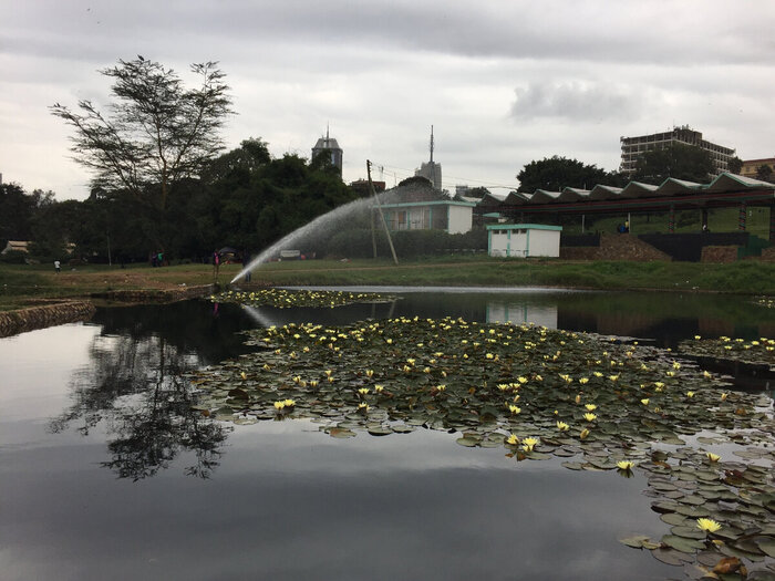 ���� ����� � ������ �������