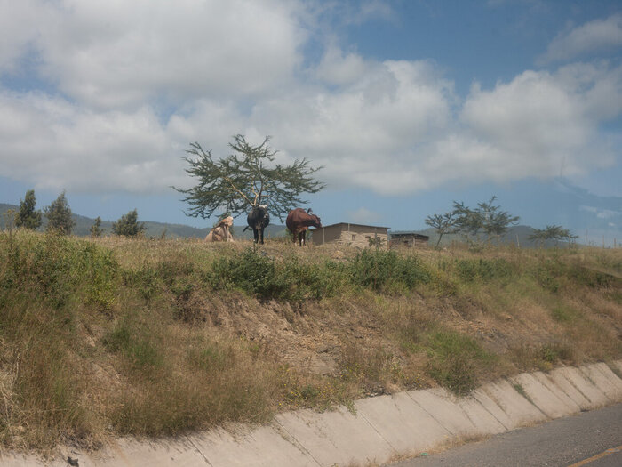 �������� ����� ����� �� ���������� �������������