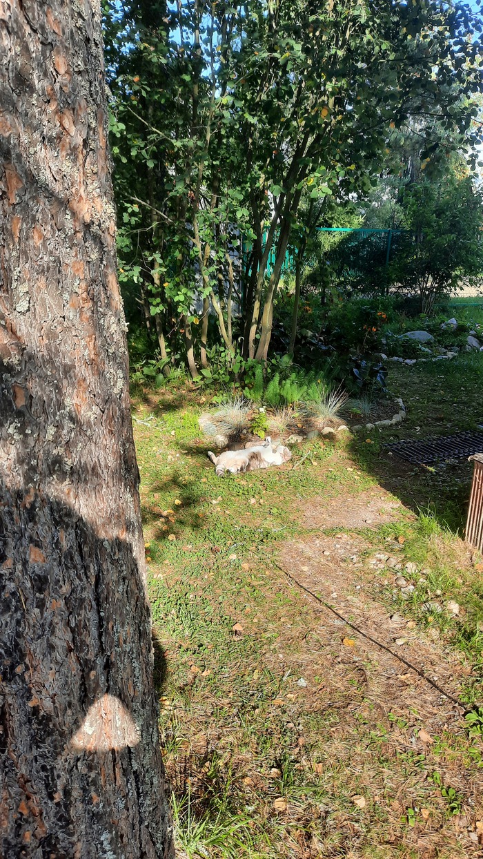 ��������� ����...