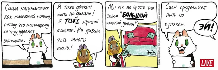 Koteykin News from 08/28/2024 - My, cat, Comics, Koteikin news (comic), Translation