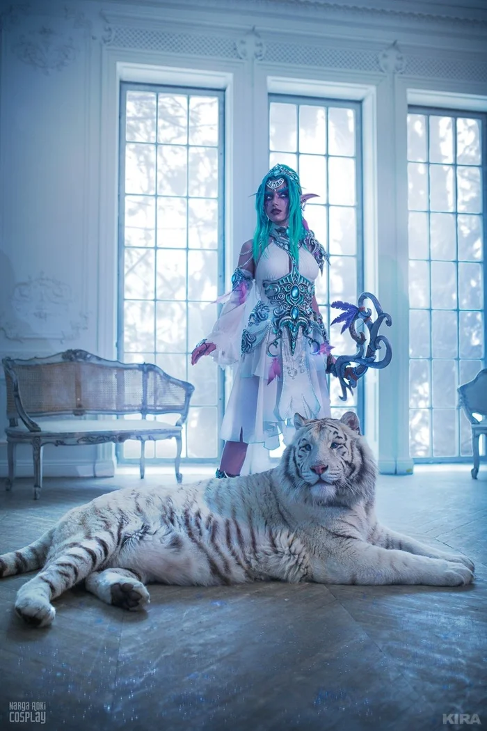 Tyrande Whisperwind (Natasha Kochetkova) - Cosplay, Cosplayers, The photo, PHOTOSESSION, World of warcraft, Warcraft, Tyrande Whisperwind, Tiger, White tiger, Longpost, Repeat