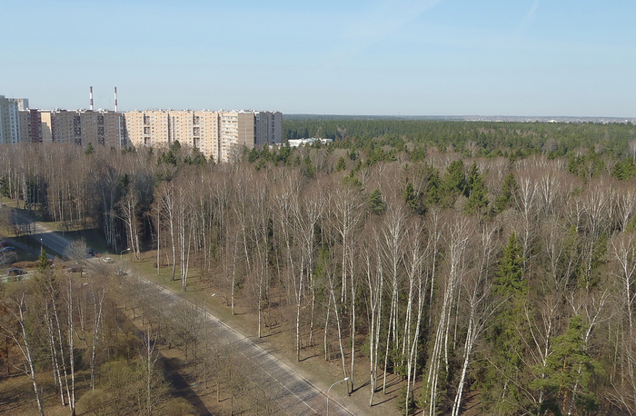 Зеленоградский лесопарк