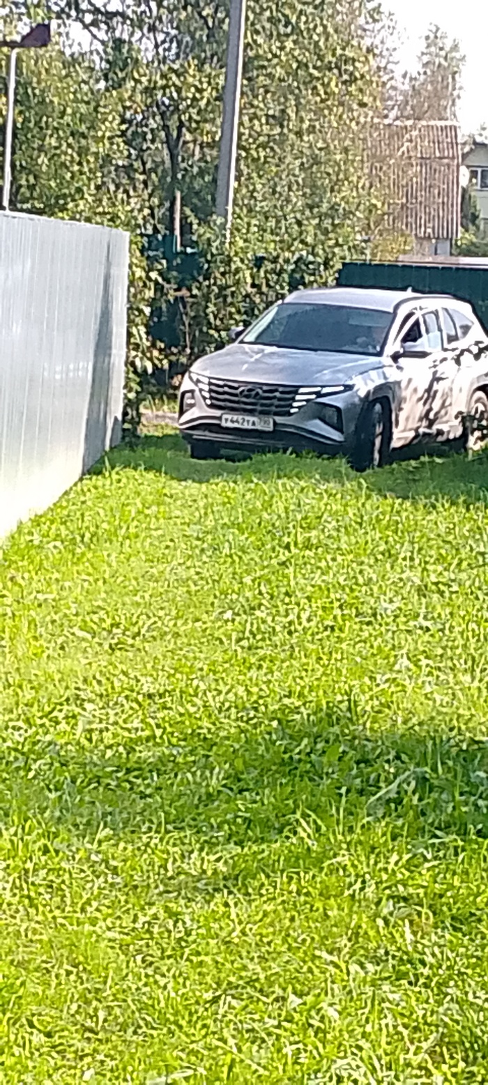   ,  , 