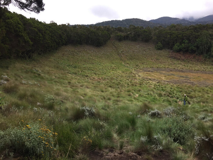 ������ ������