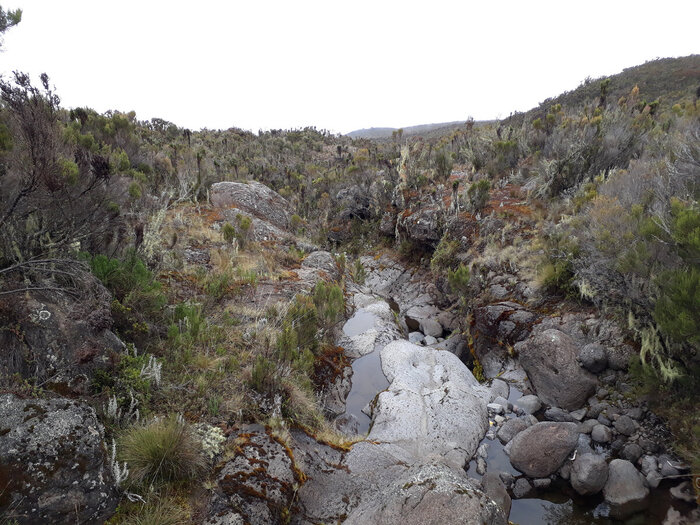 ������ ����������� ���������