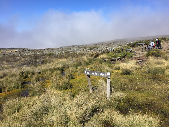 ���� ���� ���. �������� ����� �������, ��� ����������� �������� ����������