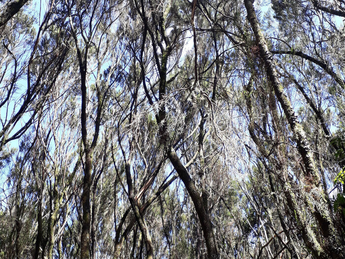 �������� ��������� ������� ����� �������