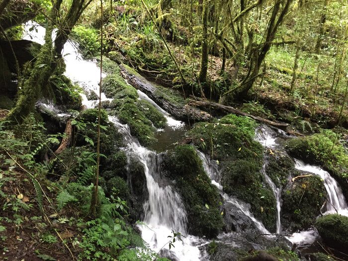 ������ ����� ���� � �� ������������ ����