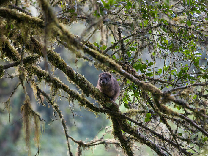 �����. ����� �����������, ��� ���� ������� �������, ��� ����� �� ��������