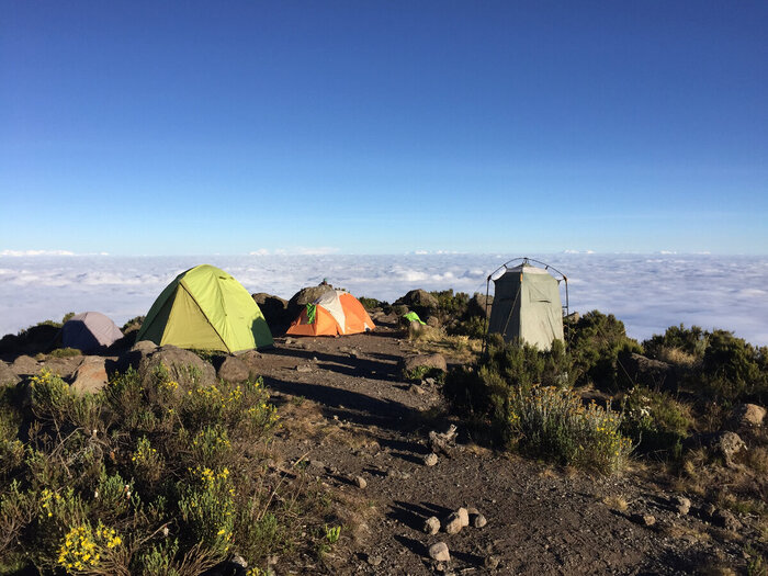 ���-�� ������������ �������� � ��������. ���������������� �������: ������� �� ���� �����