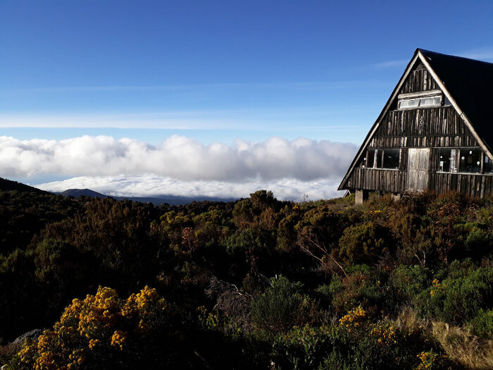 ������ ������� (����� 3700 �)