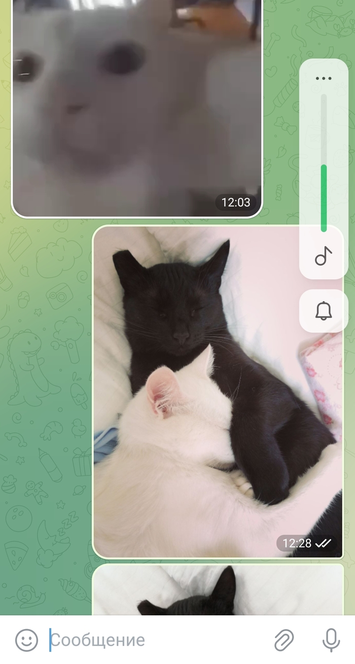            Telegram,   , , , , ,   , 