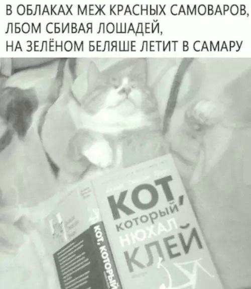 Поэзия, которую мы заслужили - Картинка с текстом, Юмор, Поэзия, Повтор, Кот