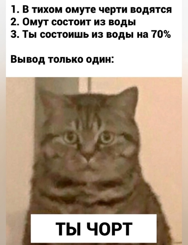 Conclusion - From the network, Picture with text, Humor, cat