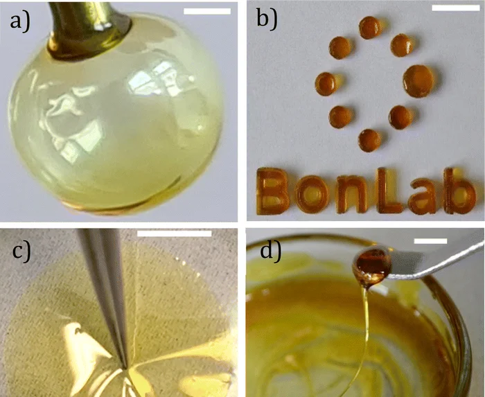 Scientists have invented an eco-replacement for plastic - Scientists, The science, Research, Ecology, Nauchpop, Plastic, Waste recycling, Garbage, Longpost