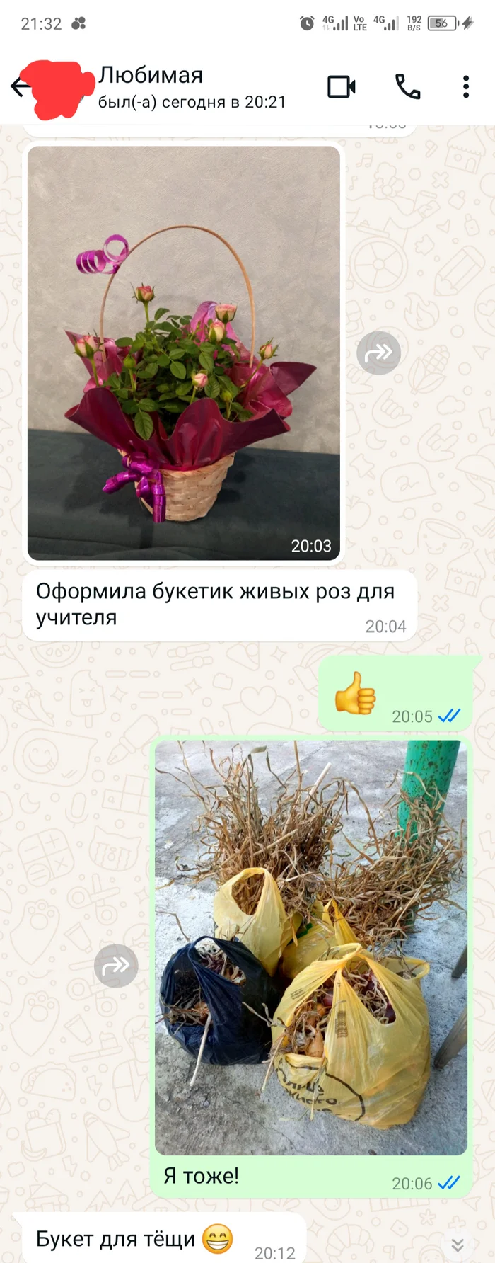 Bouquet - My, Mobile photography, Harvest, Dacha, Correspondence, Screenshot, Humor, Onion, Garlic, Plastic bags, September 1, Mother-in-law, Longpost