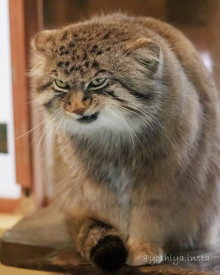 Ну здравствуй, понедельник