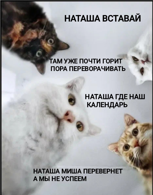 3  3 ,  , , ,   ,    