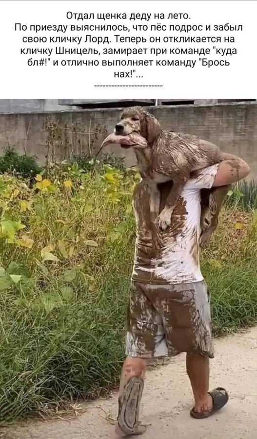 Старая школа