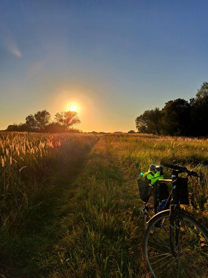 Before sunset... - My, Kaliningrad region, A bike, Nature, Field, Bike ride, Summer, August