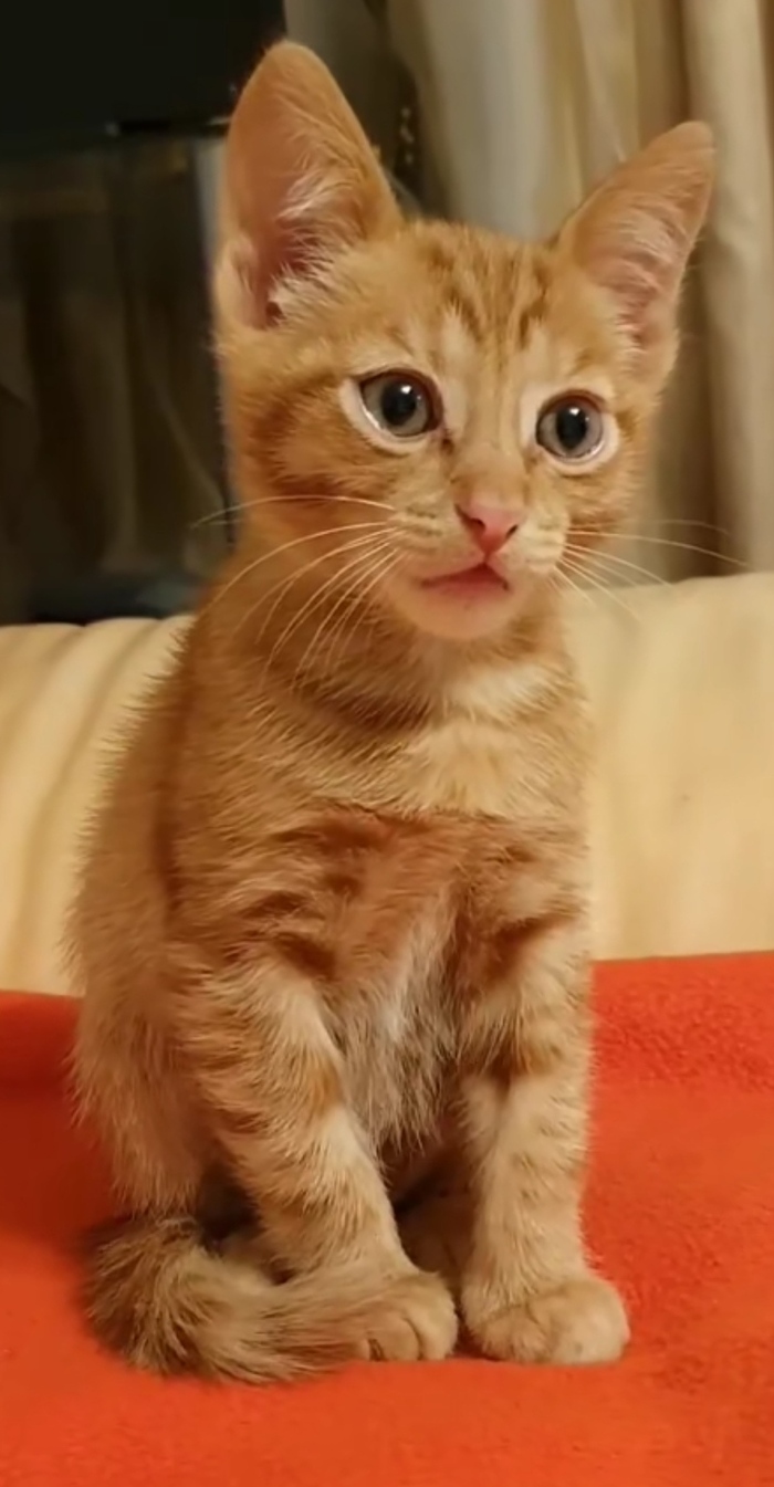   , 