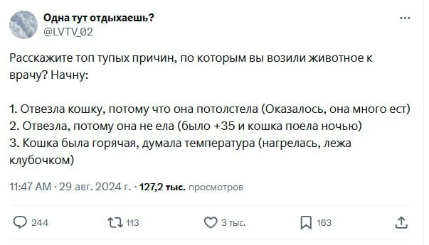 Топ тупых причин отвезти питомца к ветеринару - Twitter, Домашние животные, Ветеринар, Кот, Собака, Длиннопост, Комментарии, Скриншот