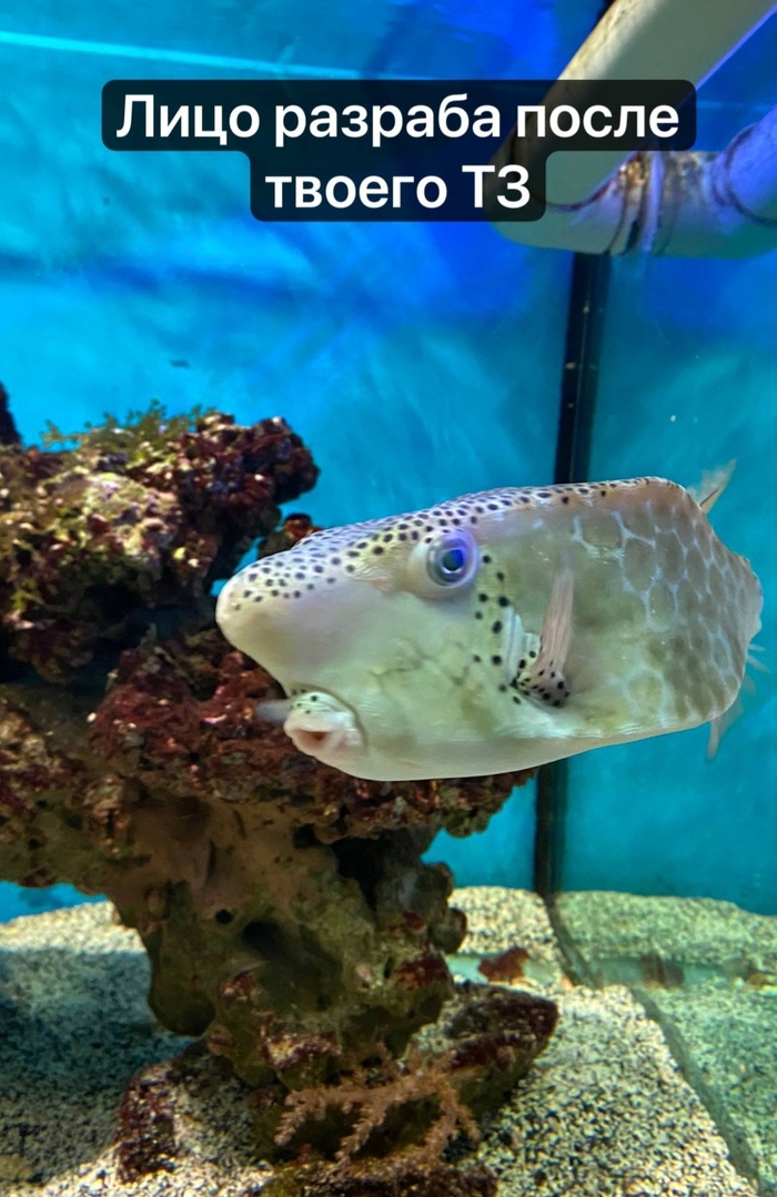 Каждый день