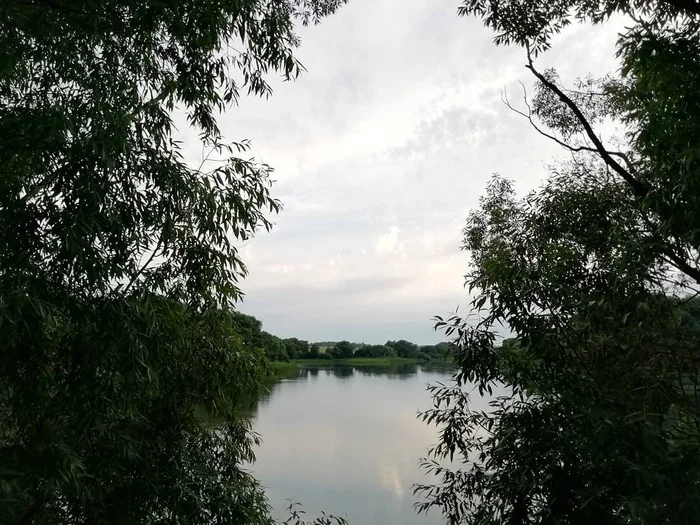 Beautiful pond) - My, The photo, Mobile photography, Nature, View, Beautiful view, Pond