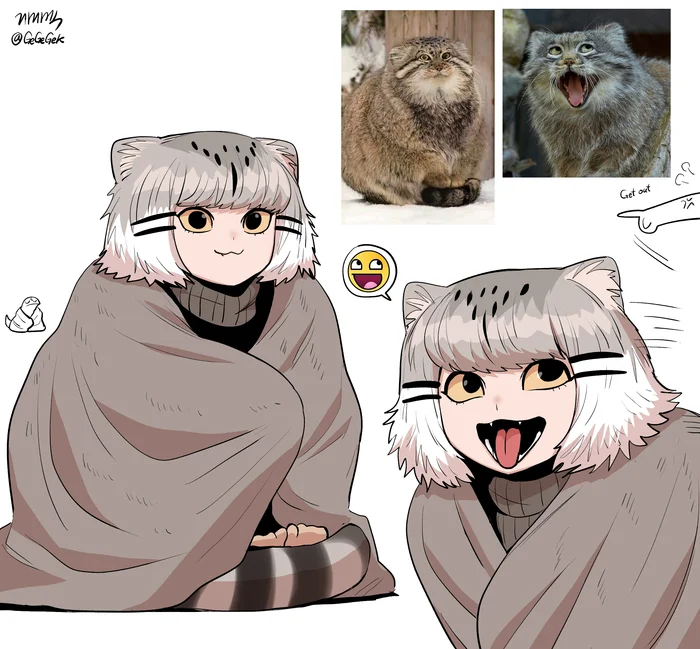 Continuation of the post “Humanization” - Art, Anime, Anime art, Humanization, Animal ears, Gegegekman, Tail, A wave of posts, Pallas' cat, Neko, Reply to post