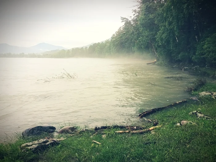 Foggy Katun - My, Katun, Fog, Calmness, Nature, The photo