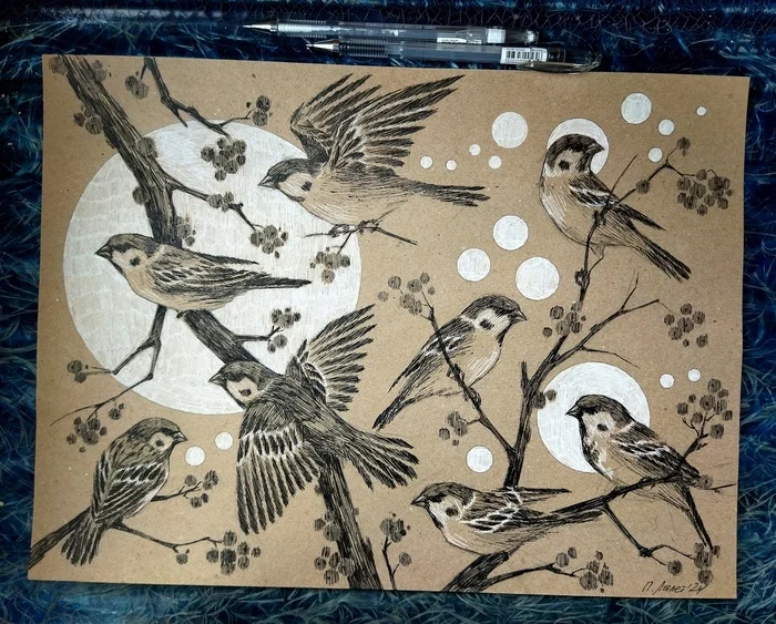 Sparrows - My, Sparrow, Graphics, Drawing, Birds, Liner, Pen drawing