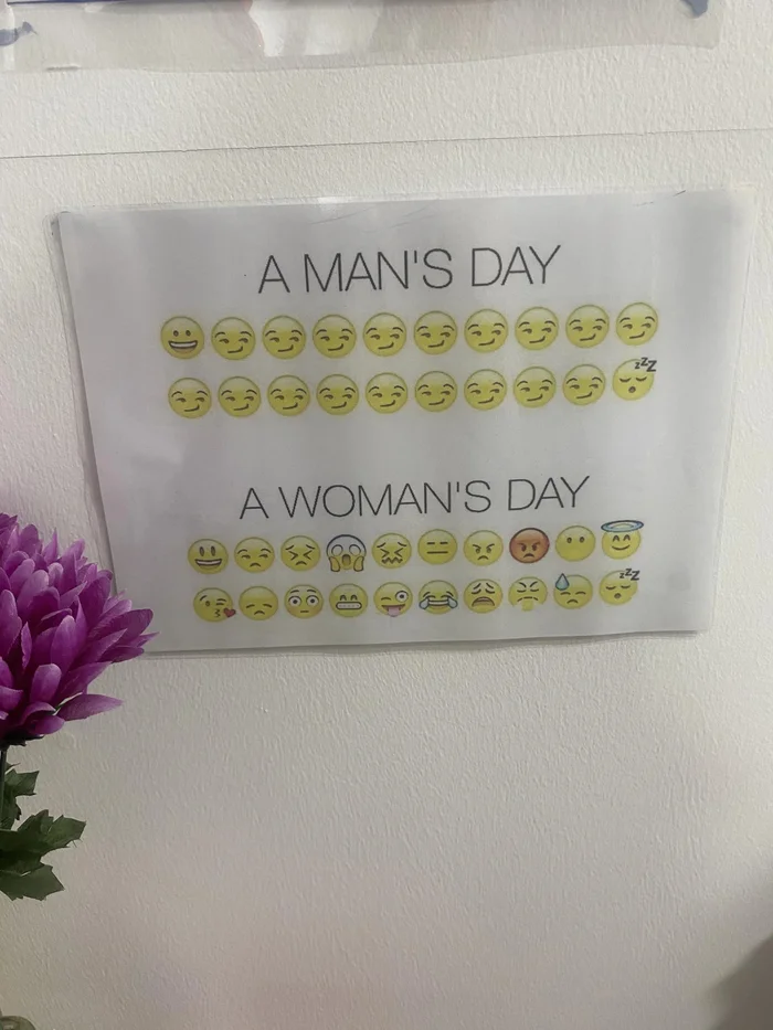 Men's Day and Women's Day - Emoji, Men and women, Comparison, Emotions, Табличка