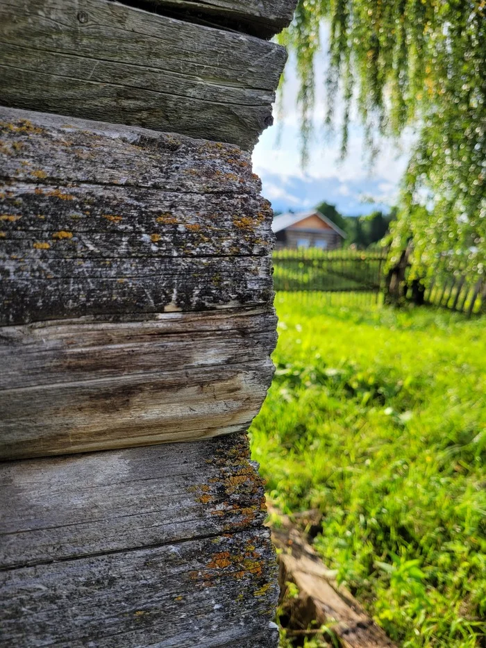 Деревенский дом - Моё, Деревня, Дом, Село, Дача, Лето, Огород, Дерево, Фотография