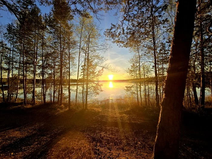 Sunset on a forest lake. A little beauty for your feed - My, Mobile photography, Sunset, Lake, Forest, Nature