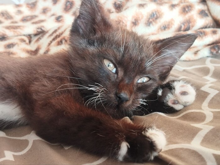 ����������