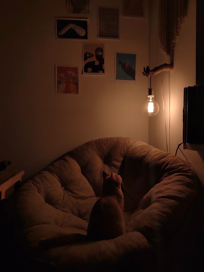      , ,  ,  , 