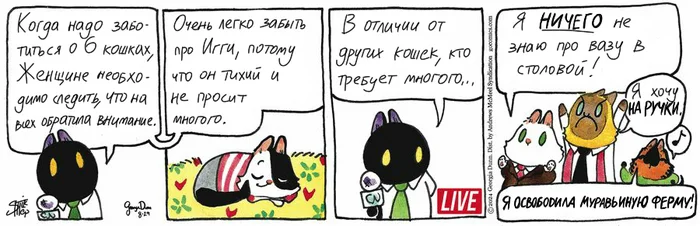 Koteikiny News from 08/29/2024 - My, Translation, Koteikin news (comic), Comics, cat