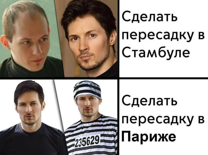 Transfer - Pavel Durov, Telegram, Humor, Picture with text, Arrest of Pavel Durov, Hair Transplant