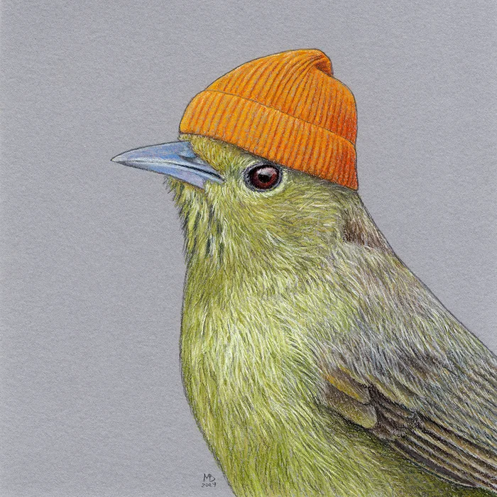 Red-capped Stachyris - My, Art, Drawing, Birds, Animalistics, Traditional art, Pastel, Birds in hats, Cap