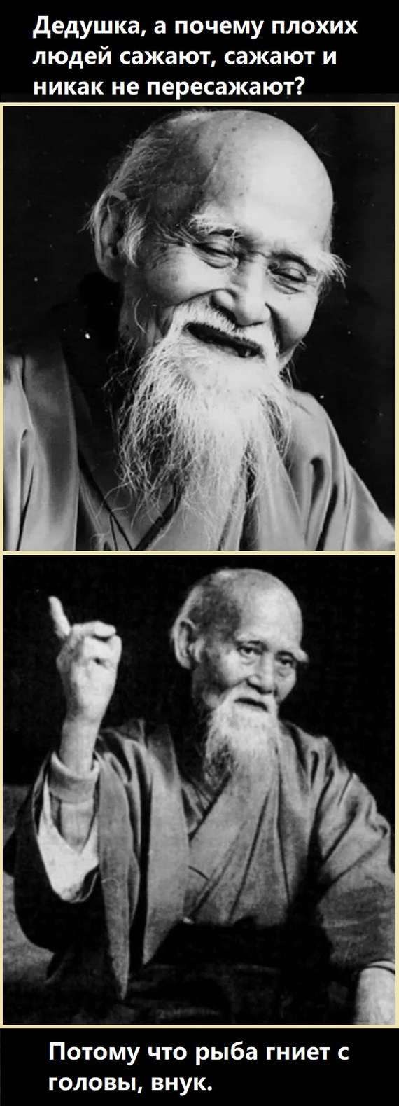 ���������� �������� ��������� ���-����������� ������� ����� ������