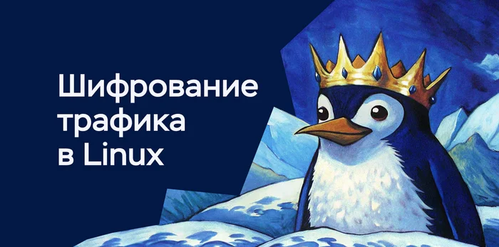 Большое руководство по сетям и шифрованию трафика в Linux - Моё, Linux, Timeweb, Безопасность, Программа, Информационная безопасность, Операционная система, Трафик, Длиннопост