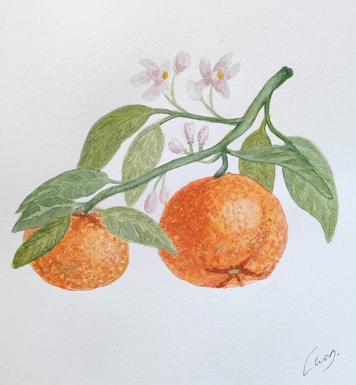 ������ 19*21 ��, ��������