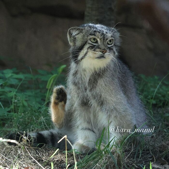 Всех с пятницей!