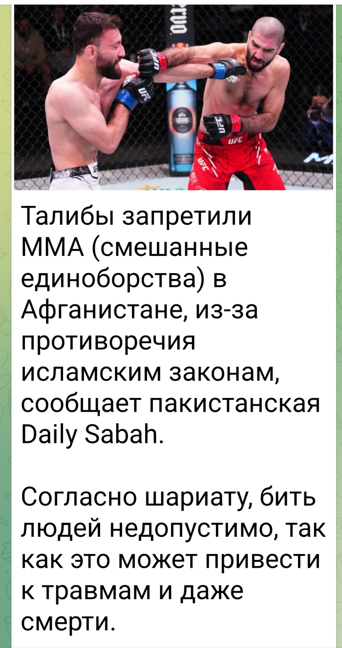 Шариат против?....как быть то теперь? - MMA, Ислам, Мусульмане, Талибан, Новости