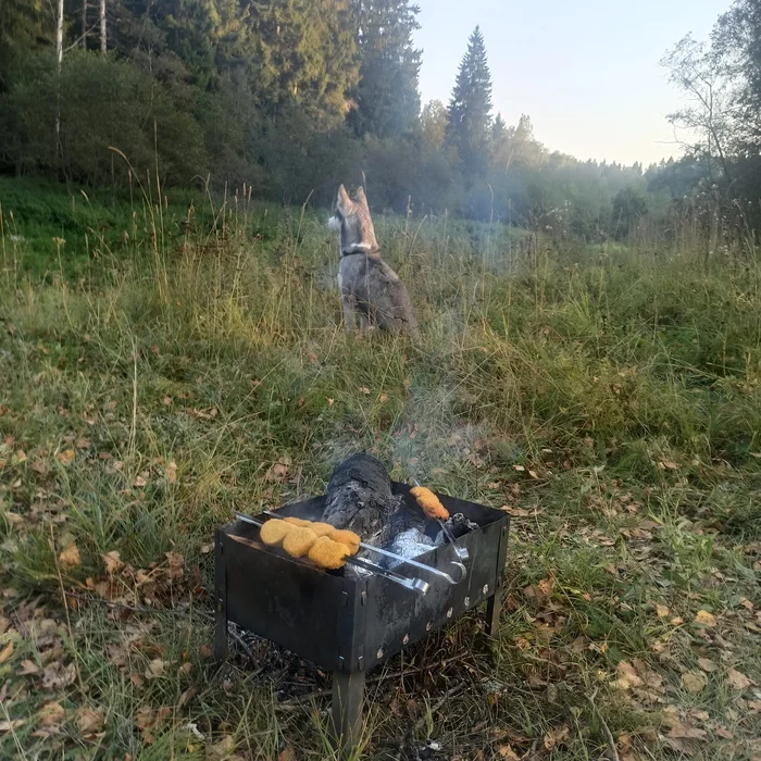 Провожаем лето - Моё, Август, Лето, Тепло, Лес, Мангал