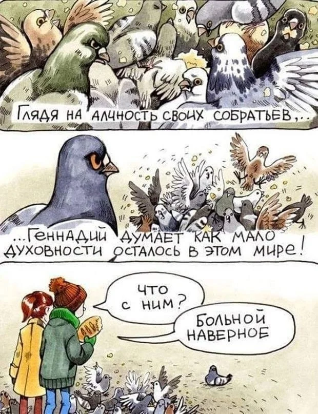 Gena's thoughts - Humor, Picture with text, Comics, Pigeon, Pigeon Gennady