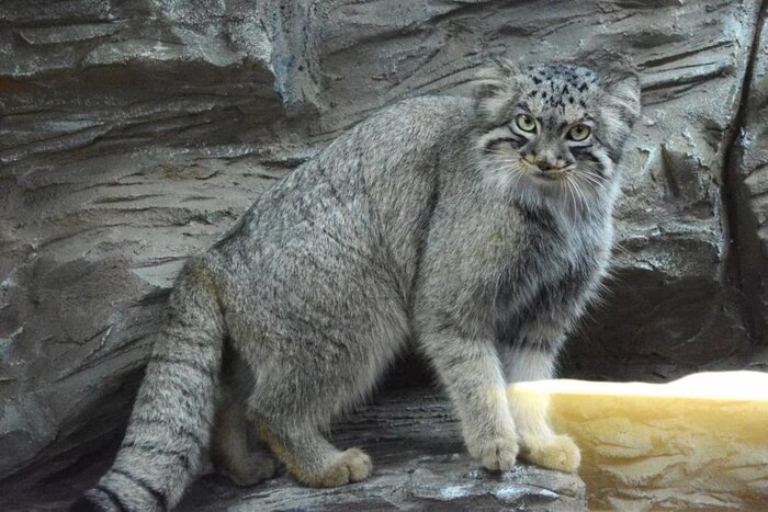 ��� ������ ������������. ��� ������ �����������:)