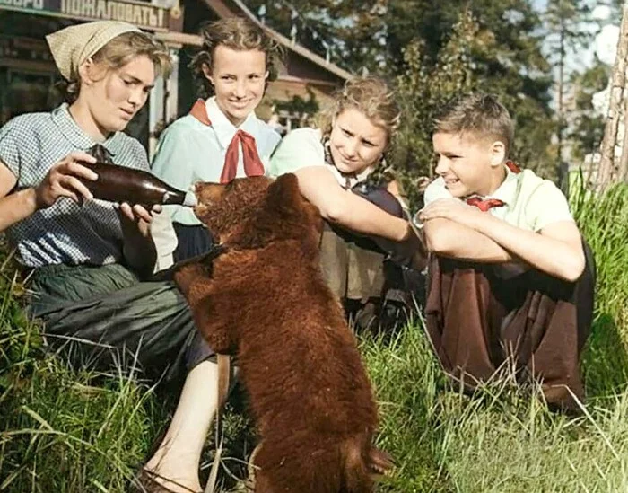 Pioneers are the cause of alcoholism in bears - Humor, Black humor, The Bears, Alcohol, Alcoholism, Pioneers, the USSR