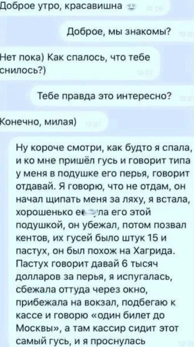 Товарищ сказал что интересно - Гифка, Скриншот, Гусь, Пятничный тег моё, Длиннопост, Повтор, Сон, Анимация, Моё, Экранизация